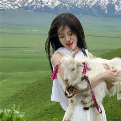 罪物语 海报